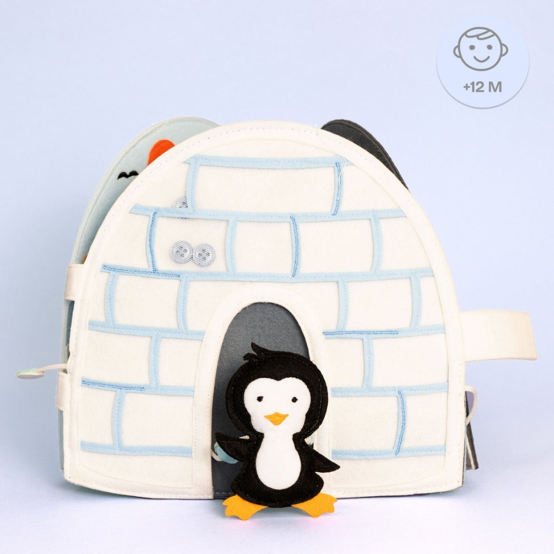 Igloo